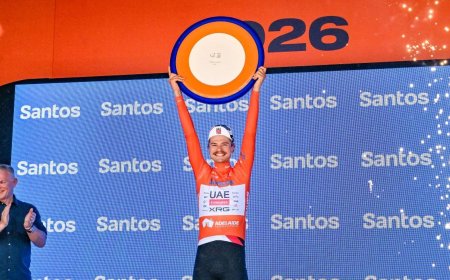 Australian Bike Race Interrupted After Kangaroo Accident on Course