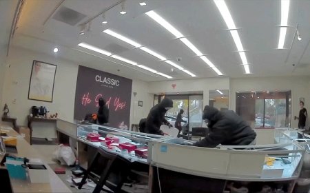 Video shows masked robbers crash car through jewelry store entrance, steal owner's gun in brazen heist