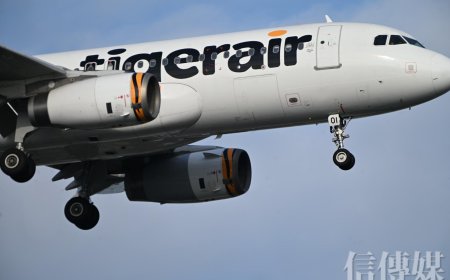 台灣虎航即日起擴大招募機師與運務人員　2025年終平均10.6個月