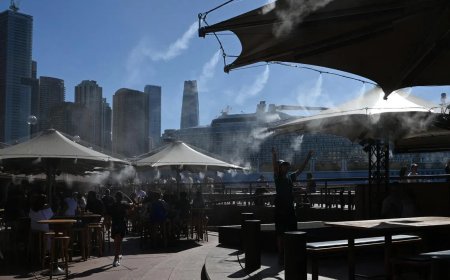 热浪袭击澳大利亚 气温逼近50摄氏度