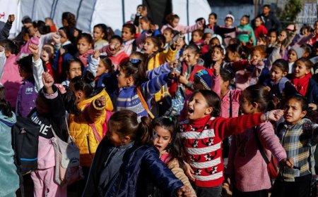 加沙冲突爆发两年多 学习用品终送抵助教育