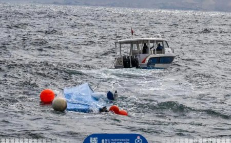 一艘游船在阿曼倾覆 至少三名法国游客遇难