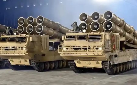 朝鲜试射新型大口径火箭炮 击中远程海上目标