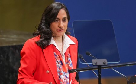 加拿大外长：加方将派北极巡逻舰前往格陵兰岛