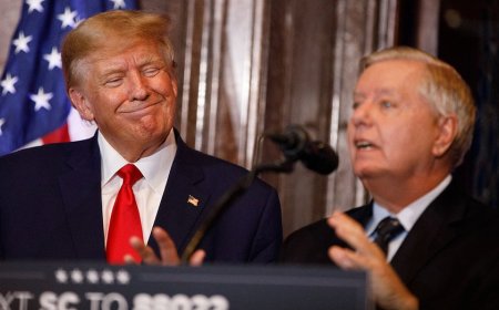 Graham teases Trump plan to end sanctuary city policies 'forever'