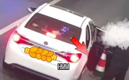 男子高速上停车顺走锥桶：只为在小区占车位用