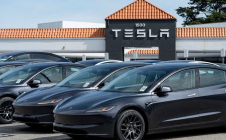 特斯拉缩减车型阵容且战略转向人工智能 年度营收首次出现下滑
