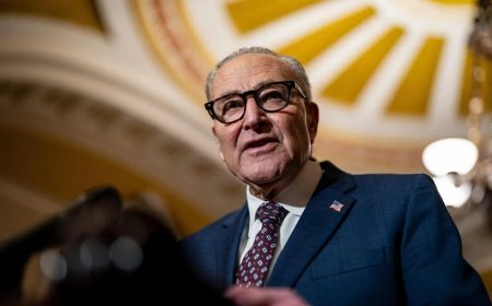 特朗普传与民主党谈判收紧移民执法人员限制