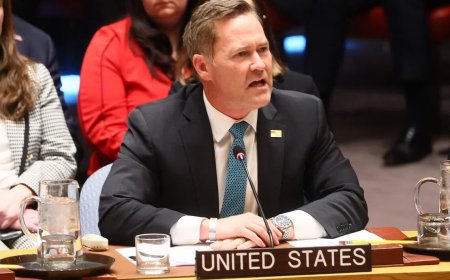 美国：加沙非军事化将包括国际资助的武器回购计划