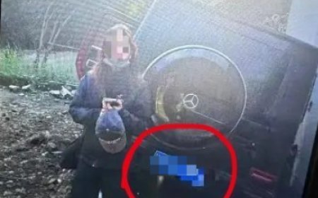 保险公司客服回应金晨事件：驾驶员逃逸保险公司一般不会直接告发