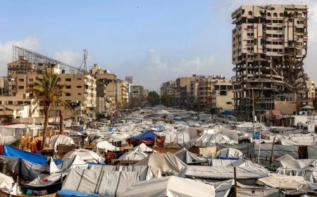 哈马斯：加沙地带治理权交接全面就绪