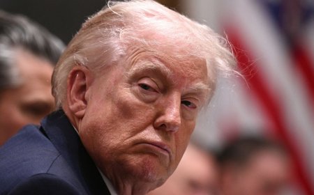 Nearly one-third of non-US game developers have cancelled plans to travel to the country because of immigration and gender identity policies