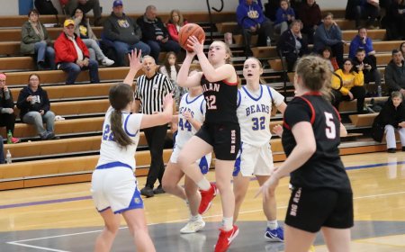 Monroe County Region high school basketball summaries Jan. 28-29