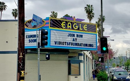 American Cinematheque, Vidiots Among Theaters Offering Free Admission During Nationwide Shutdown on Friday