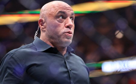 ‘That sounds so Republican’: Joe Rogan stunned by Obama’s old deportation rhetoric