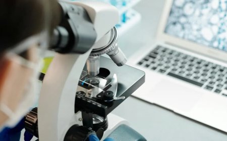 新研究揭示免疫系统“快速刹车”机制 或为治病提供思路