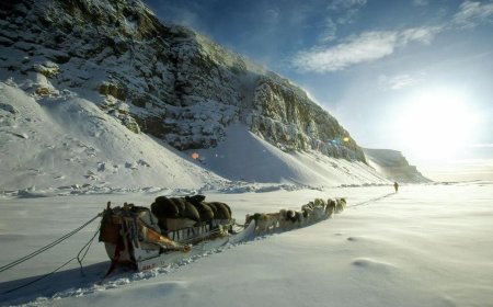 天狼星雪橇犬巡逻队 格陵兰极地的精英部队