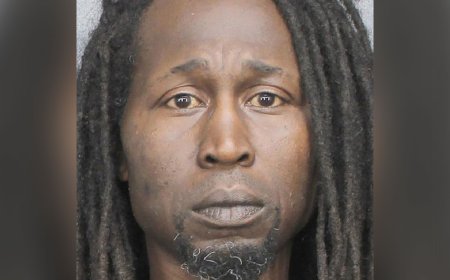 Mailman Arrested Over Pepper-Spraying 2 Puppies, Mama Dog in Florida