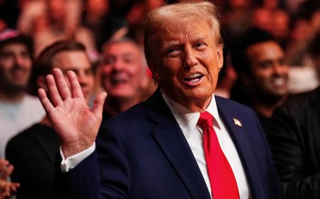 President Trump reveals plan to build 100,000-seat stadium for UFC White House event