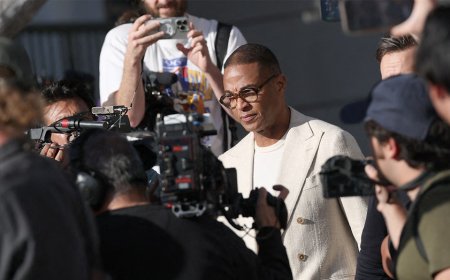 Don Lemon released from custody after LA court appearance