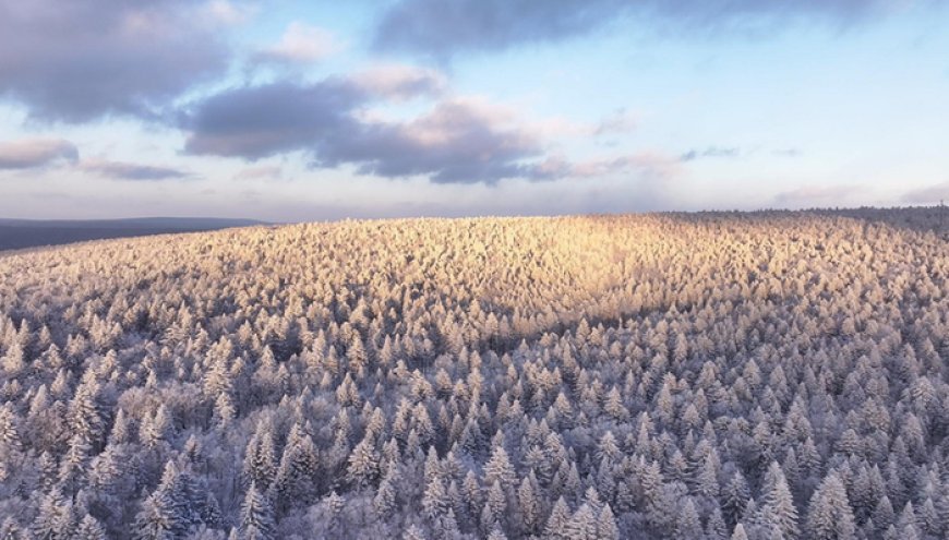 冰雪微笑曲线| 雪漫老里克湖，马拉爬犁载百年民俗