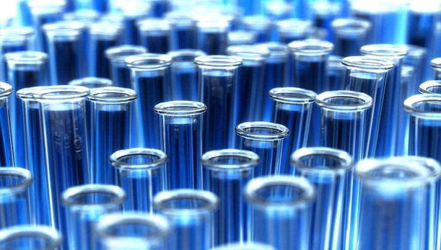 CXO板块项目需求正在复苏，哪些公司值得买？｜ A股2026投资策略⑩