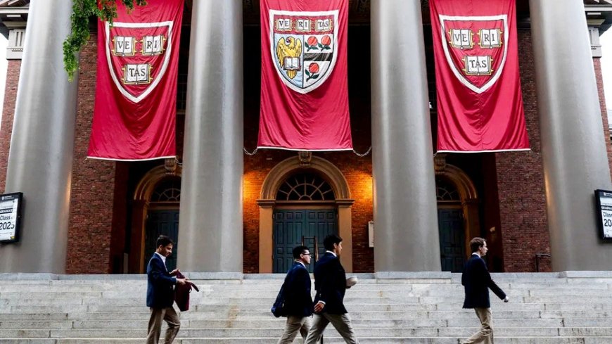 Harvard alum blasts DEI policies after 'woke' values drive longtime professor's exit
