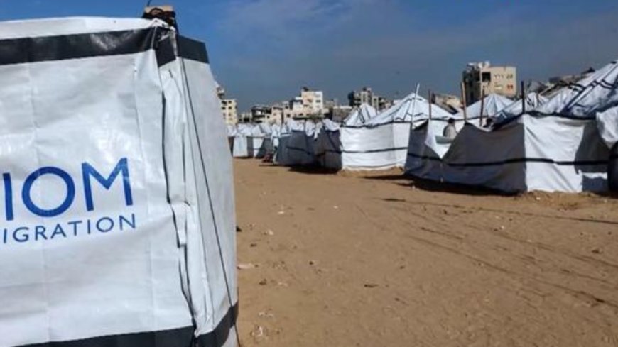 无视多方反对，以政府宣布人道援助禁令生效