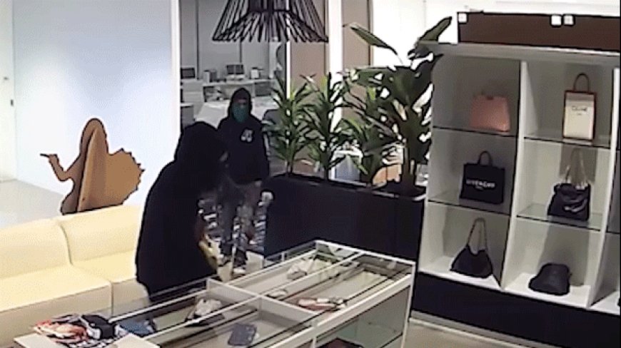 Massive luxury handbag heist caught on camera as heavily armed police swarm California store