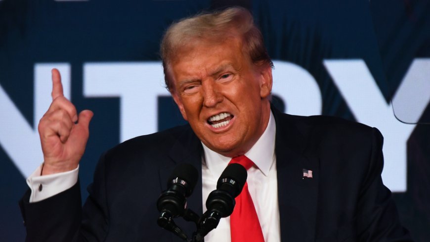 Pro-life groups warn Trump Hyde Amendment is 'non-negotiable' after flexibility remarks