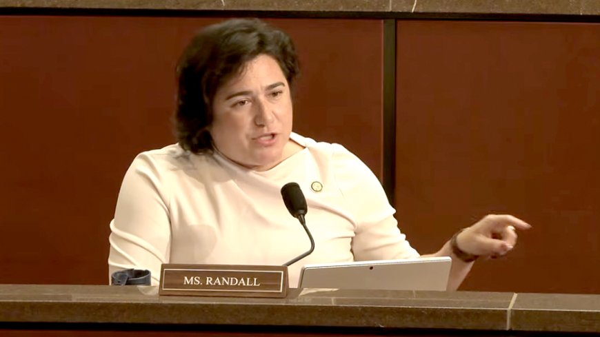 Democratic lawmaker says focus should be on 'White men' at Minnesota fraud hearing
