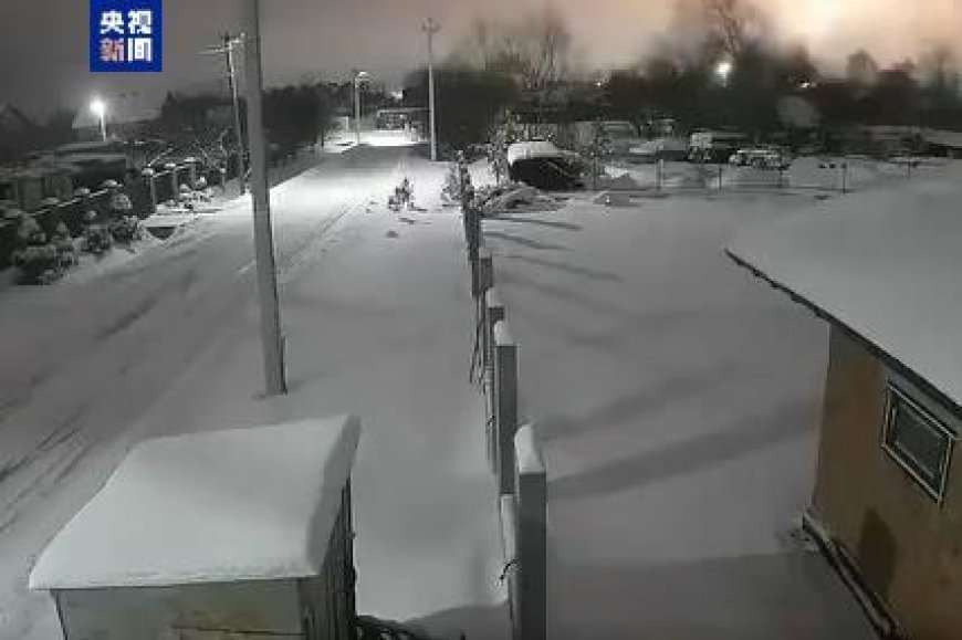 乌官员：袭击乌方设施的“榛树”导弹未携带弹头