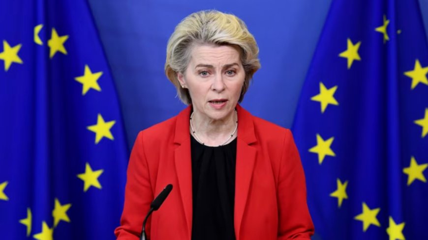 冯德莱恩：法律比武力更强大 该原则也适用于格陵兰岛