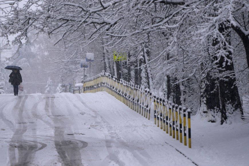 歐洲遭強風大雪侵襲港口與交通受阻　赫伯羅德、德迅發警訊