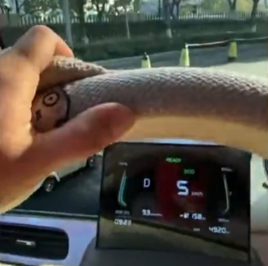 女车主买知豆电动车故障不断：踩电门不走、遮阳板脱落 4S店还关门了