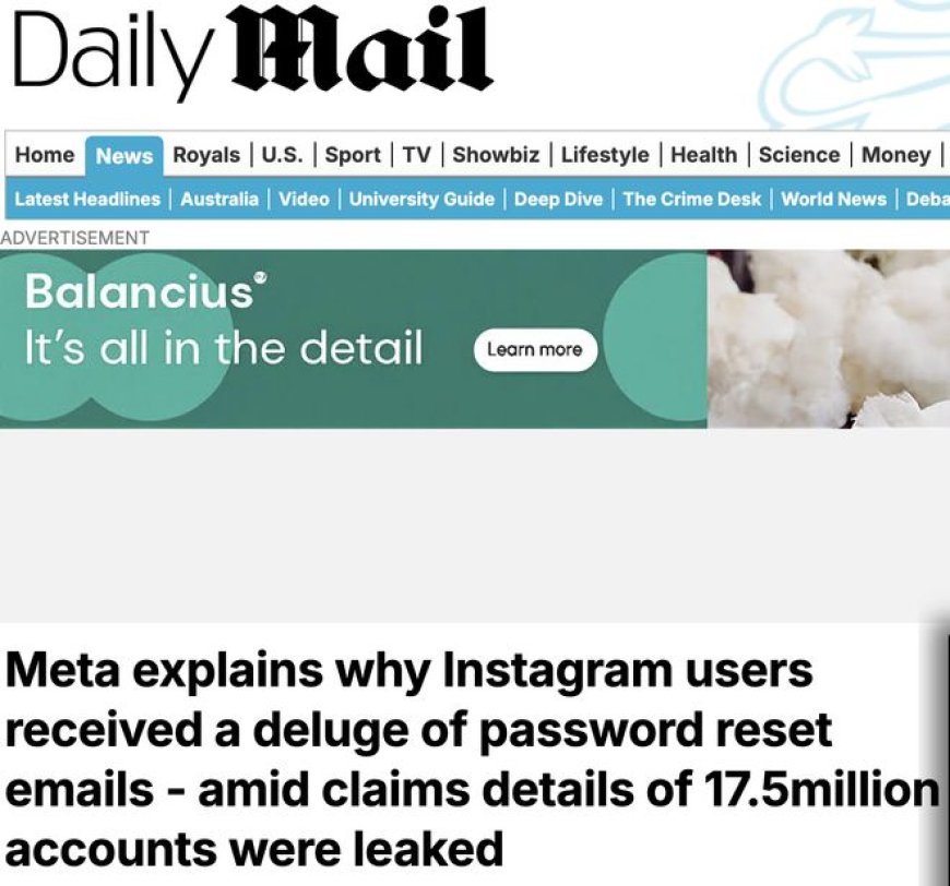 Meta澄清Instagram“密码重置风暴”：因系统漏洞所致 未发生数据泄露