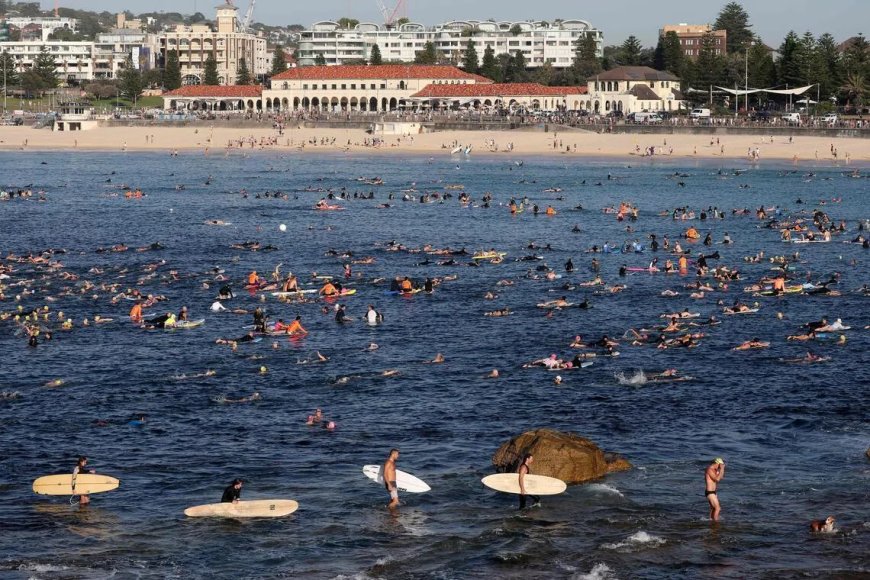 澳洲去年枪支数量超过400万 创历史新高