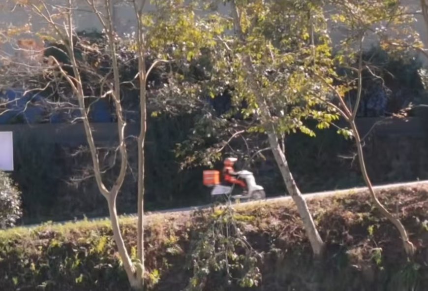 一座城仅有一名外卖骑手 他是中国最孤独的城市骑士