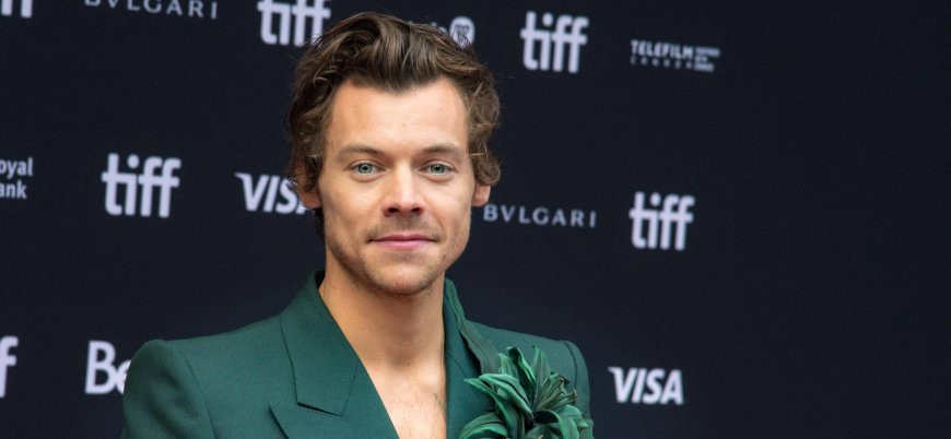 Harry Styles Shares The Mundane Reason Why He Was At The Pope Reveal