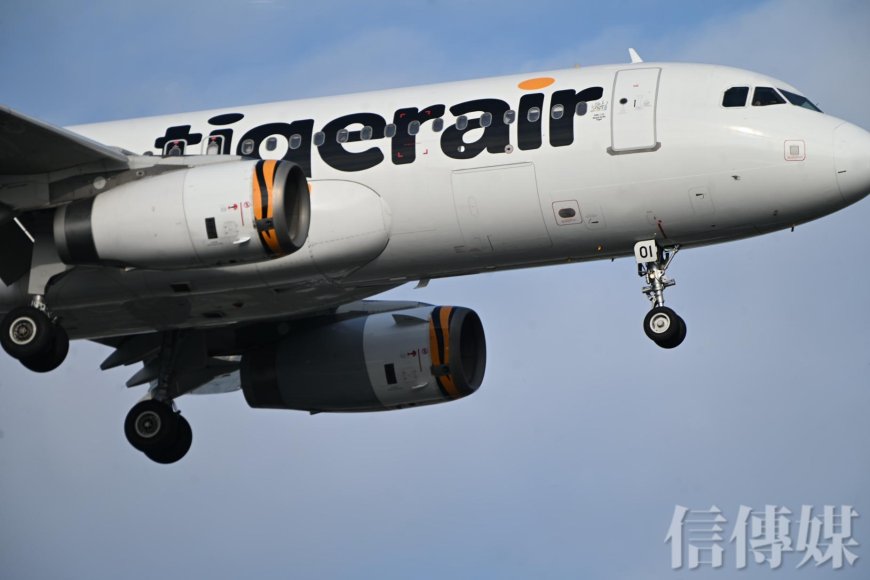 台灣虎航即日起擴大招募機師與運務人員　2025年終平均10.6個月