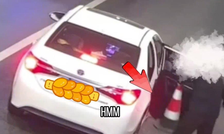 男子高速上停车顺走锥桶：只为在小区占车位用