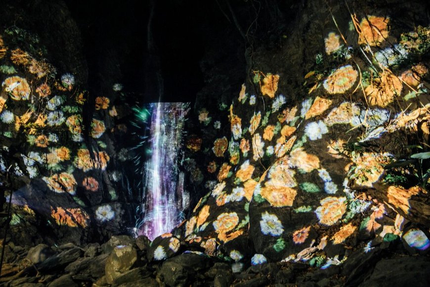 屏東奇幻大津「10大燈區」搶先看　夜遊瀑布每天限量1千人