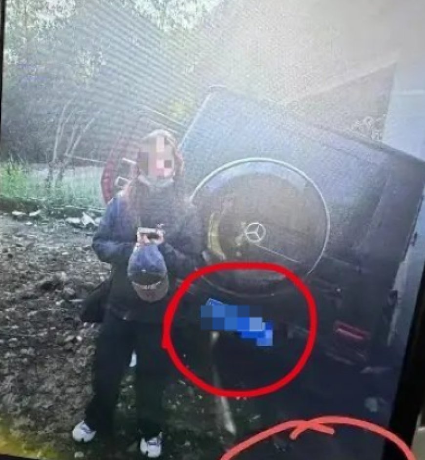 保险公司客服回应金晨事件：驾驶员逃逸保险公司一般不会直接告发