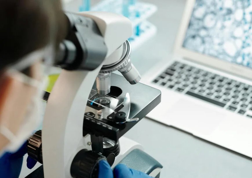 新研究揭示免疫系统“快速刹车”机制 或为治病提供思路