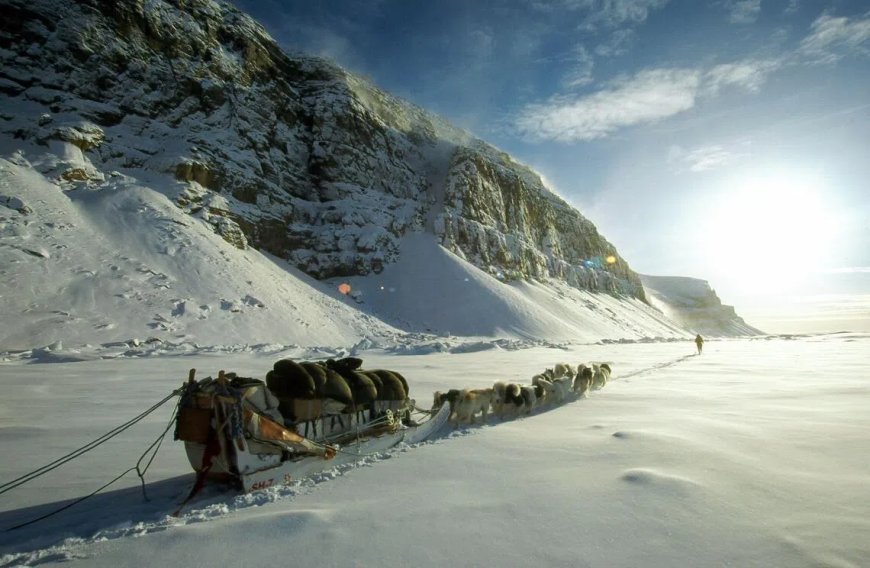 天狼星雪橇犬巡逻队 格陵兰极地的精英部队