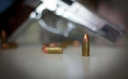 美国路易斯安那州发生枪击案五人受伤