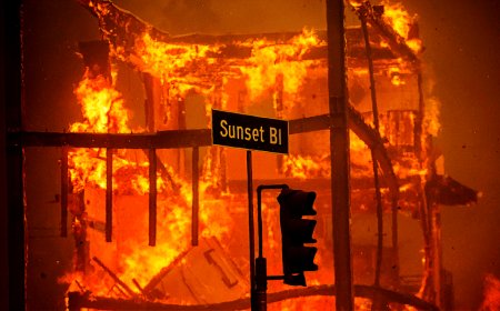 Palisades fire disaster pushes Ring to close critical gaps in emergency visibility