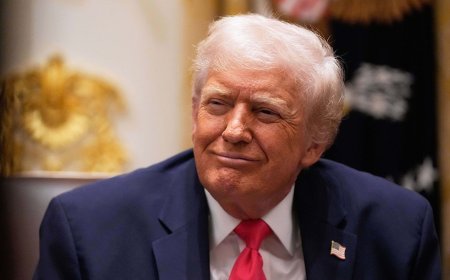 MORNING GLORY: Democrats have just handed Trump the chance to fix immigration