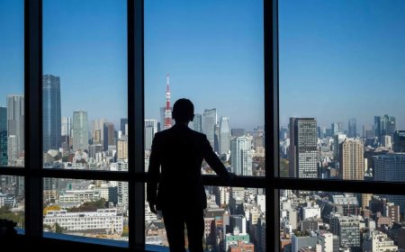 日本调查外国人大规模购地