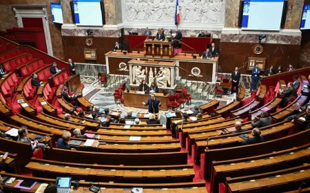 法国总理再过关 财政预算获通过